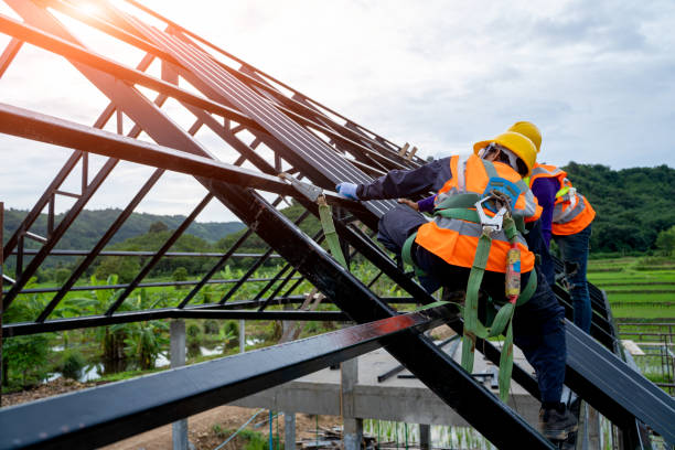 Best Roof Gutter Cleaning  in Marquette Heights, IL