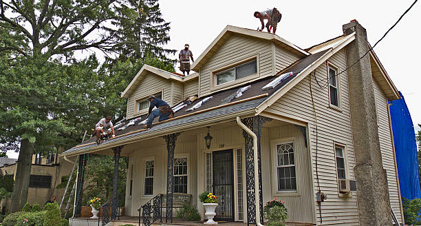 Best Storm Damage Roof Repair  in Marquette Heights, IL